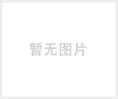 仿电镀铝银浆 (ZC-602)